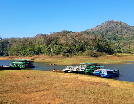 thekkady 