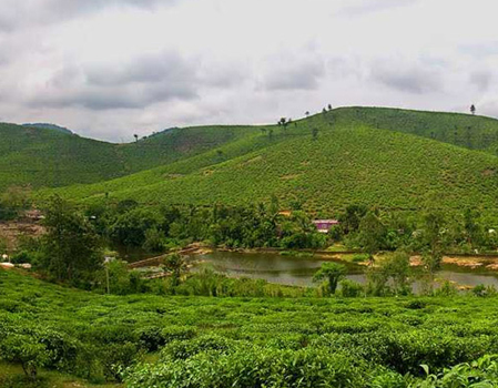 thekkady 