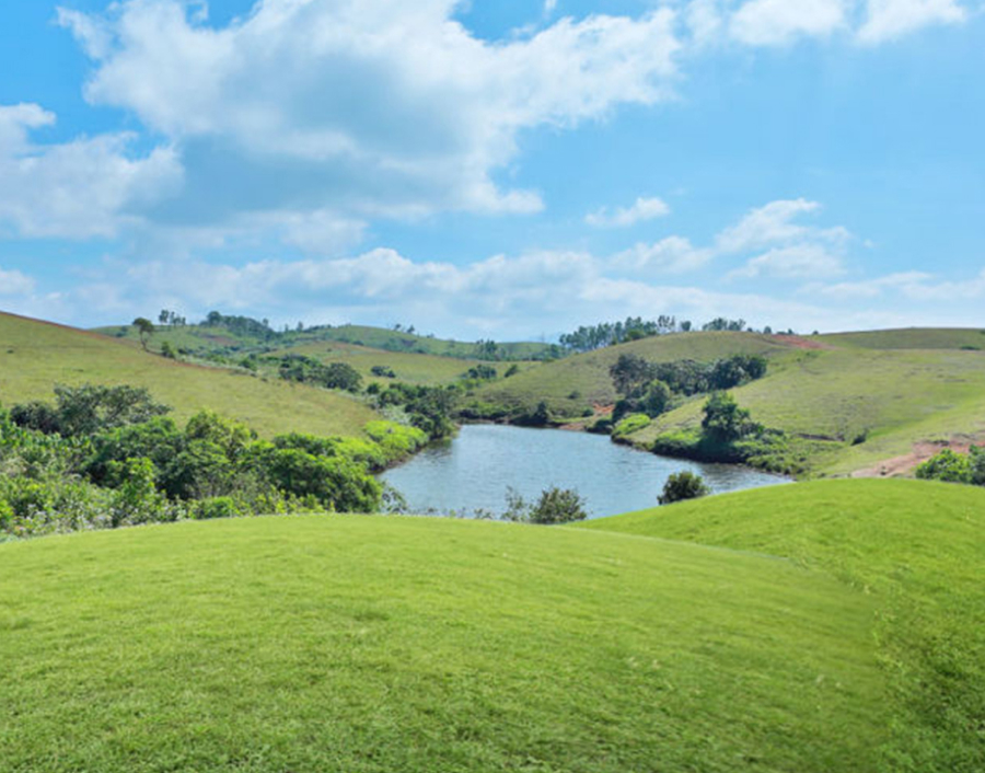 Vagamon Meadows